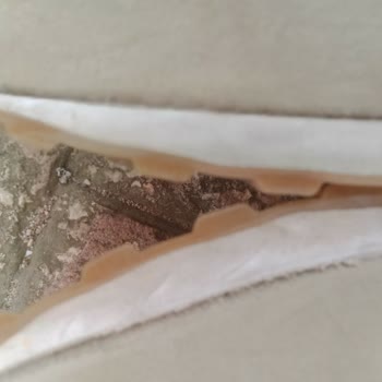 Play Sports Orijinalliği Şüpheli Ürün Satışı Sorunu