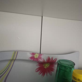 Dekorex Koçtaş Mağaza İçi Kiosk Uygulaması Ürünlerinin Şikayeti!