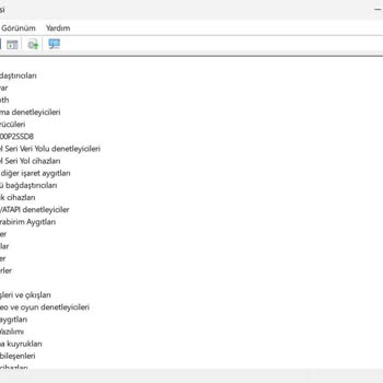 Monster Notebook Mavi Ekran Ve SSD Sorunu