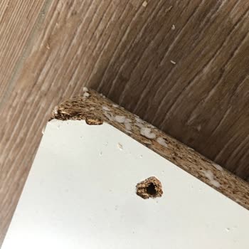 A101 Sanal Market Dolap Siparişimde Sorun Yaşıyorum