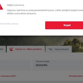 THY Check'in Yönetim Ve Ekstra Bagaj Sorunsalı