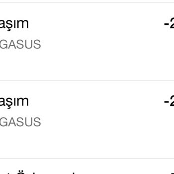 Pegasus Havayolu 1 Aydır Hata Sonucu Çekilen Paramı İade Etmiyor