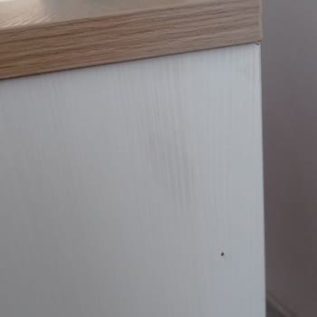 Zarya Kids Sıfır Yerine Teşhir Ürün Gönderilmesi