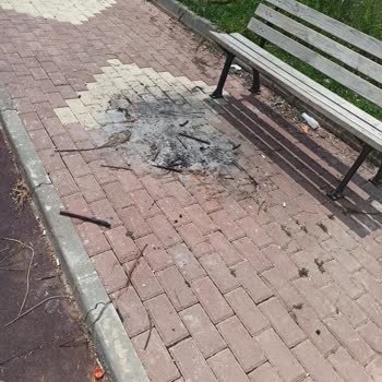 Orhangazi Belediyesi Mahallemizdeki Parkın Kirliliği