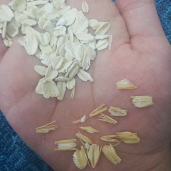 Türk Şeker Yulaf Ezmesi İçerisinden Kabuk Çıkıyor Kabuktan Yenmiyor