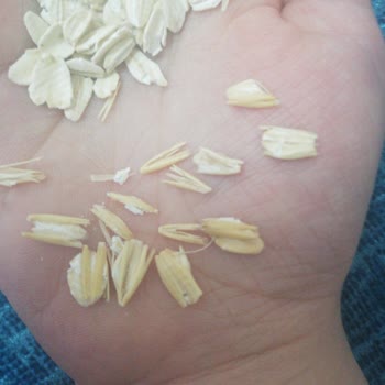 Türk Şeker Yulaf Ezmesi İçerisinden Kabuk Çıkıyor Kabuktan Yenmiyor