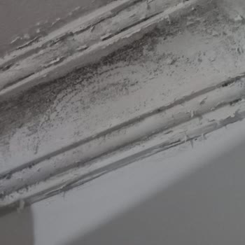 Alesta Uluslararası Ekspertiz Memnuniyetsizliği