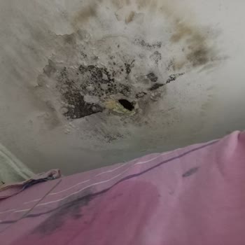 Alesta Uluslararası Ekspertiz Memnuniyetsizliği