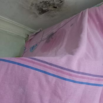 Alesta Uluslararası Ekspertiz Memnuniyetsizliği