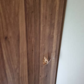 Yurtiçi Kargo Firması Gönderim/Taşıma Esnasında Eşyama Zarar Verdi