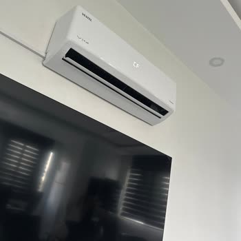 Vestel Flora Doğa Wi-Fi Sorunu