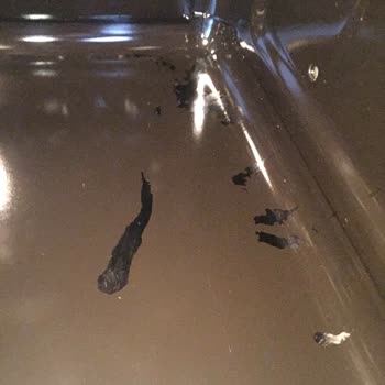 Bosch Fırın İçi Çıkmayan İzler Var