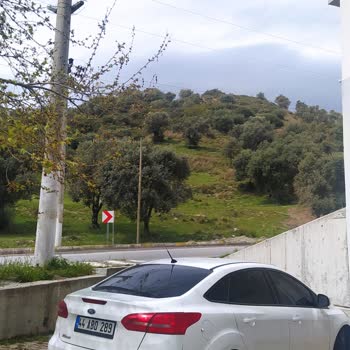 ADM Elektrik Dağıtım İş Kazası Adm Elektrik Hatası