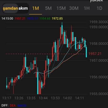 Nfu Forex 3500 Dolar Kaybettim