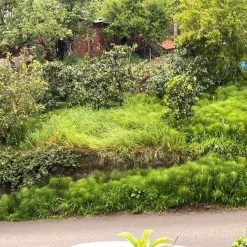 Karayolları Genel Müdürlüğü İstimlak Duvarı Hasarı