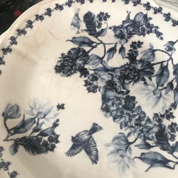 Bella Maison Tabaklarının Yıpranması Sebebiyle Şikayetçiyim