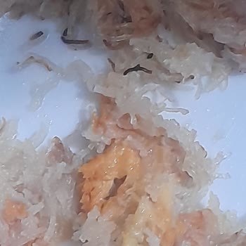 Şok Marketler Şok Marketten Peynir İçinde Sarı Cisim