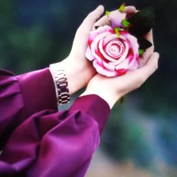 Smule Eski Hesap Kurtarma