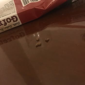 Harras Sütlü Kakao Kremalı Gofret İçinden Çıkanlar