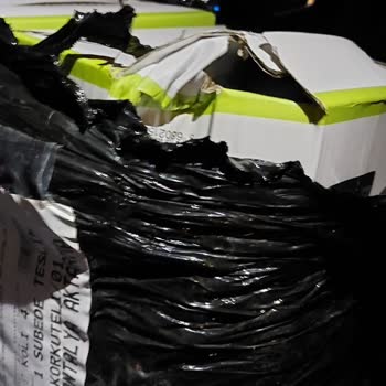 Panther Lamba Kırık ve Çalışmıyor