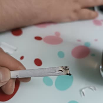 Lark Sigara Paketinden Yırtık Sigara Çıktı