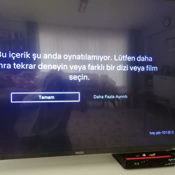 Vestel 55UD8400 Smart TV, Netflix Tvq-pb-101 Hatası Ve Yazılım Sorunu