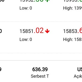 Alfaa Yatırım Mağduriyet Ve Muhatap Bulamama