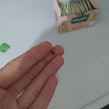 Doğadan Çaydan Böcek Çıktı