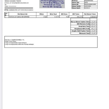 Altus Dikey Süpürge Al617