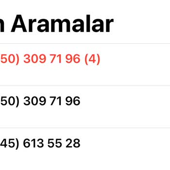 Shelby Silver Firmasının Beni Mağdur Etmesi