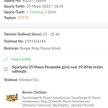 Yediğimiz Burger King Hamburgerinden Zehirlendik