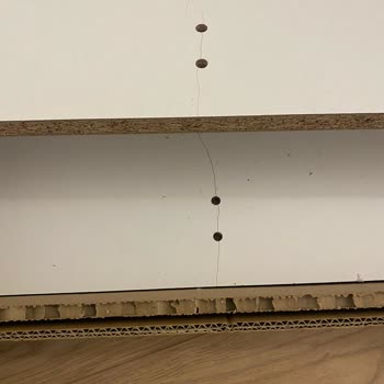 Bofigo Firmasının İlgisizliği Ve Geri Dönüş Yapmaması