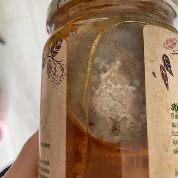 Fide Konserve Fide İlikli Kemik Suyu Küflü