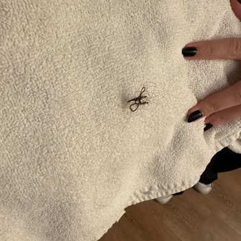 Suhan Hotel Korkunç Bir 3 Gün