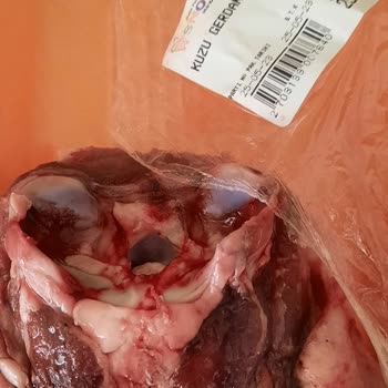 Snowy Market Bozuk Kuzu Gerdan