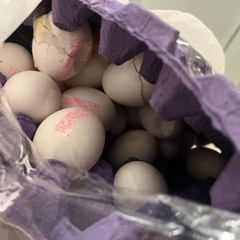 Migros Sanal Marketten Alınan Yumurtaların Neredeyse Tamamı Kırık