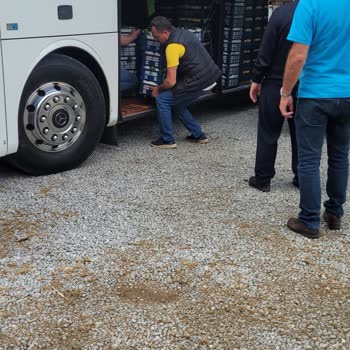 Giresun Seyahat Durak Dışında Kamyonla Meyve Yüklüyor Otobüse.