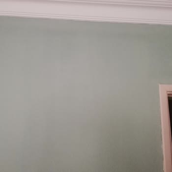 Marshall Boya Emek Ziyanı, Maddi Ziyan