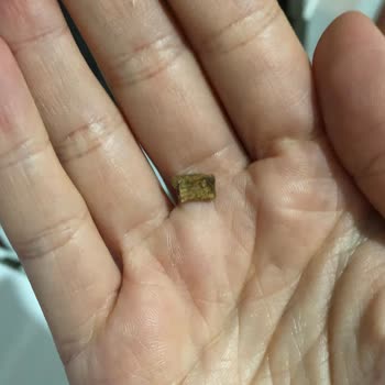 BİM'den Aldığım Kekin İçinden Odun Çıktı