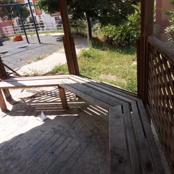 Tire Belediyesi Tire TOKİ Evin Dibinde Bulunan Kamelyanın Kaldırılması