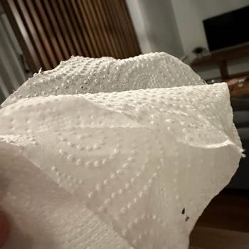 Papia Pure & Soft Kağıt Havlu Pure Ve Soft Değil