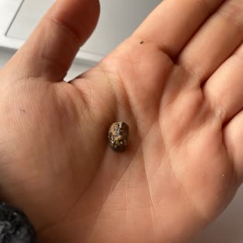 Çerezya A101 Çıtır Leblebiden Taş Çıktı