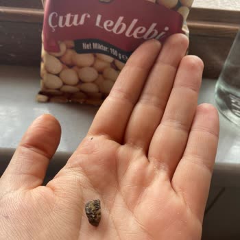 Çerezya A101 Çıtır Leblebiden Taş Çıktı