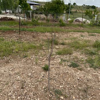 Fidandiyarim.com'da Kalitesiz Ürün