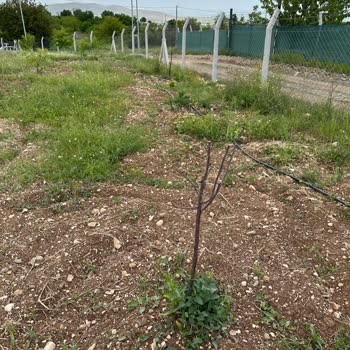 Fidandiyarim.com'da Kalitesiz Ürün