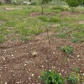 Fidandiyarim.com'da Kalitesiz Ürün