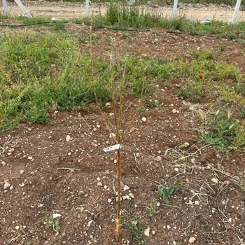 Fidandiyarim.com'da Kalitesiz Ürün