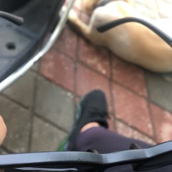DeFacto Güneş Gözlüğü Pişmanlıktır