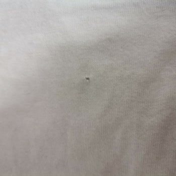 Arçelik 9124D Çamaşır Makinesi Çamaşır Yırtması