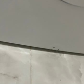 Bosch Çamaşır Makinesi WAT20480TR/41 Seri 6 Model Paslanma Sorunu